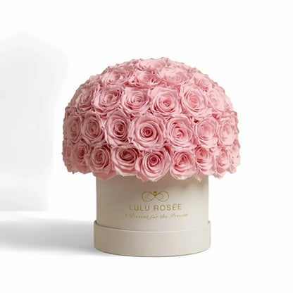LULU ROSÉE superdome box light pink roses beige box on white background