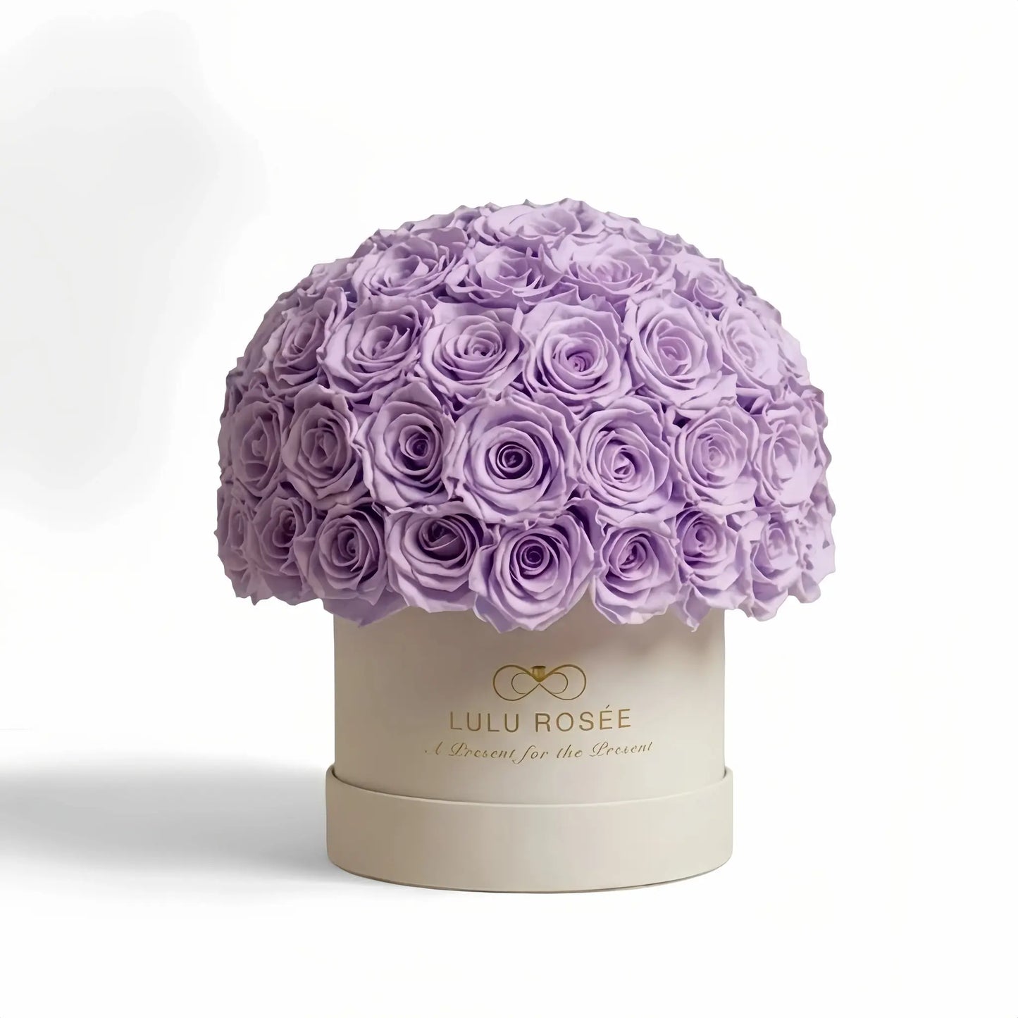 LULU ROSÉE superdome box light purple roses beige box on white background