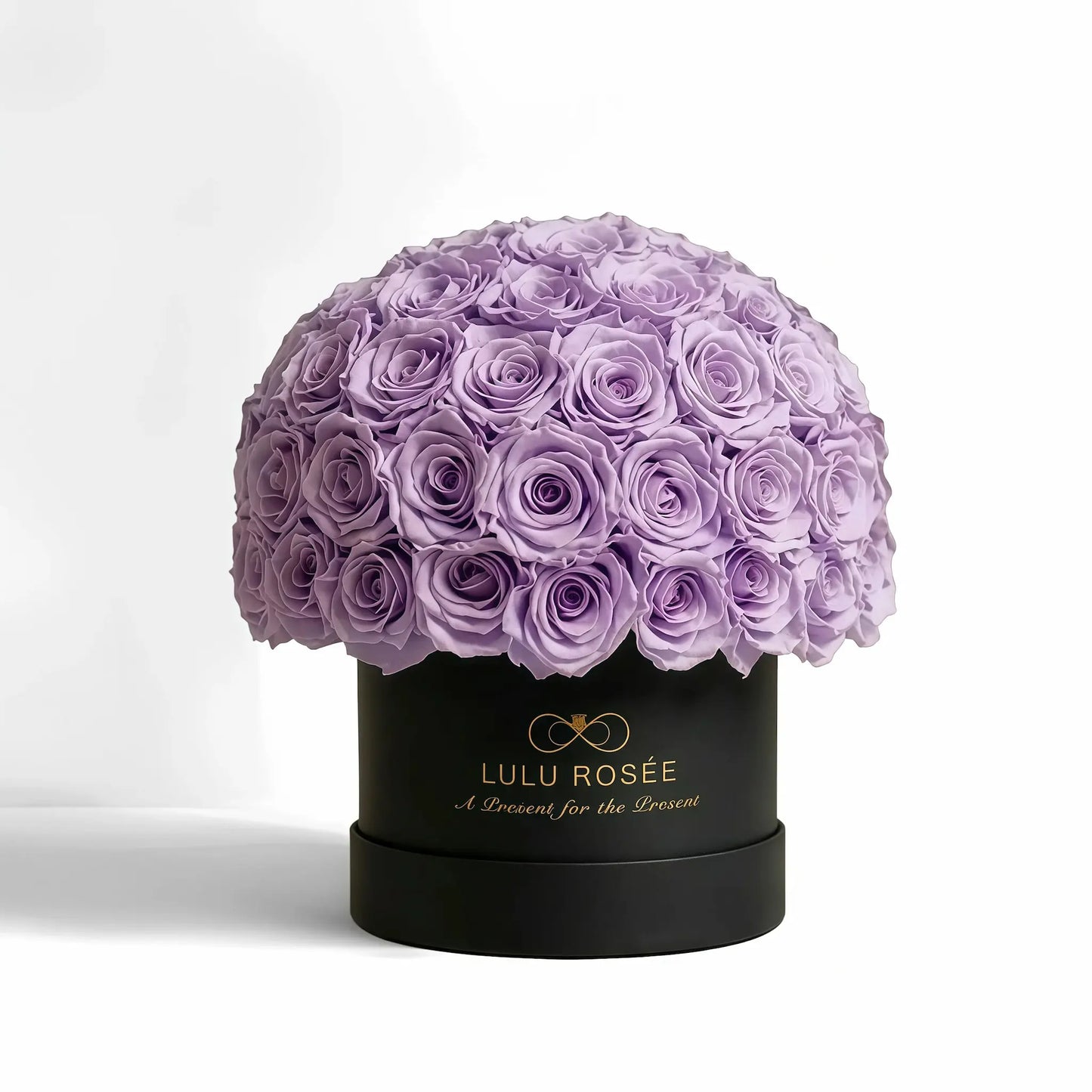 LULU ROSÉE superdome box light purple roses black box on white background