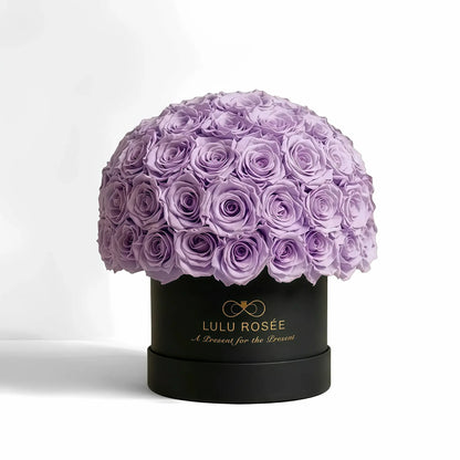 LULU ROSÉE superdome box light purple roses black box on white background