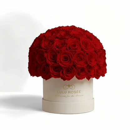 LULU ROSÉE superdome box red roses beige box on white background