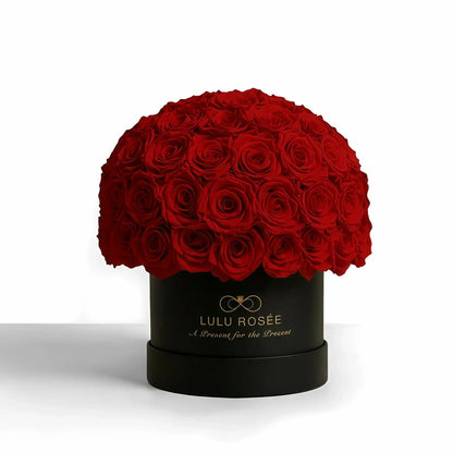 LULU ROSÉE superdome box red roses black box on white background