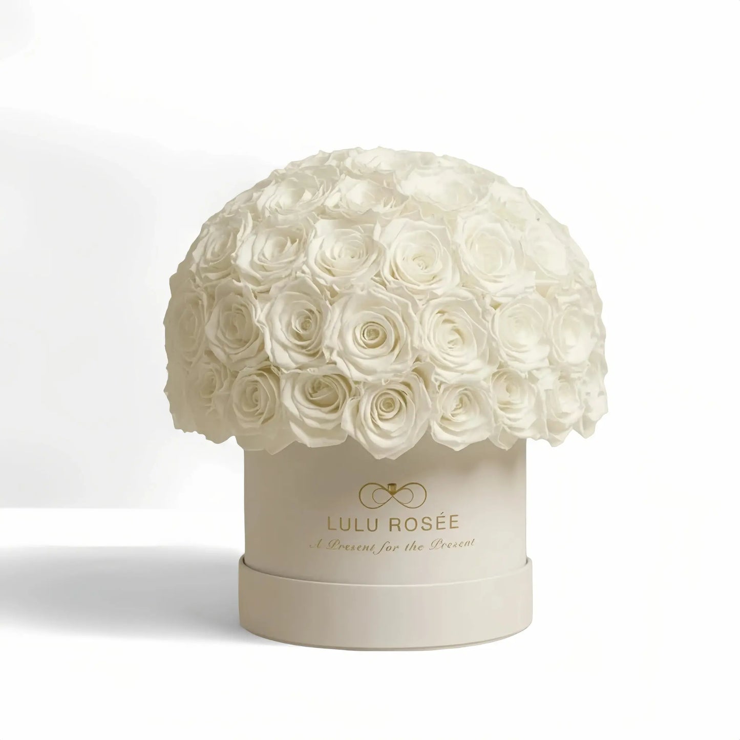 LULU ROSÉE superdome box white roses beige box on white background