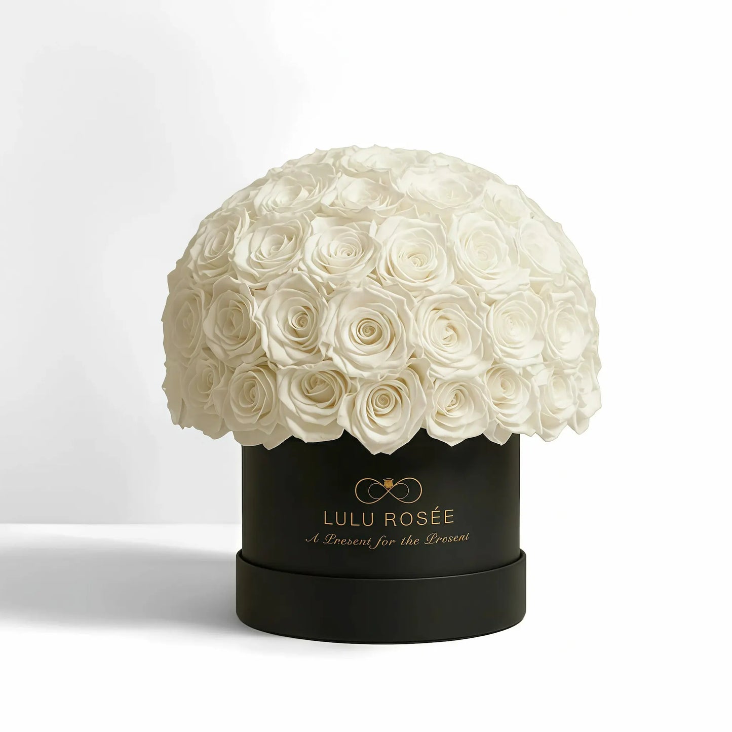 LULU ROSÉE superdome box white roses black box on white background