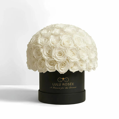 LULU ROSÉE superdome box white roses black box on white background