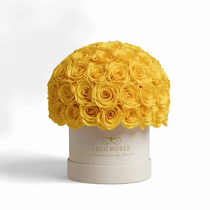 LULU ROSÉE superdome box yellow roses beige box on white background