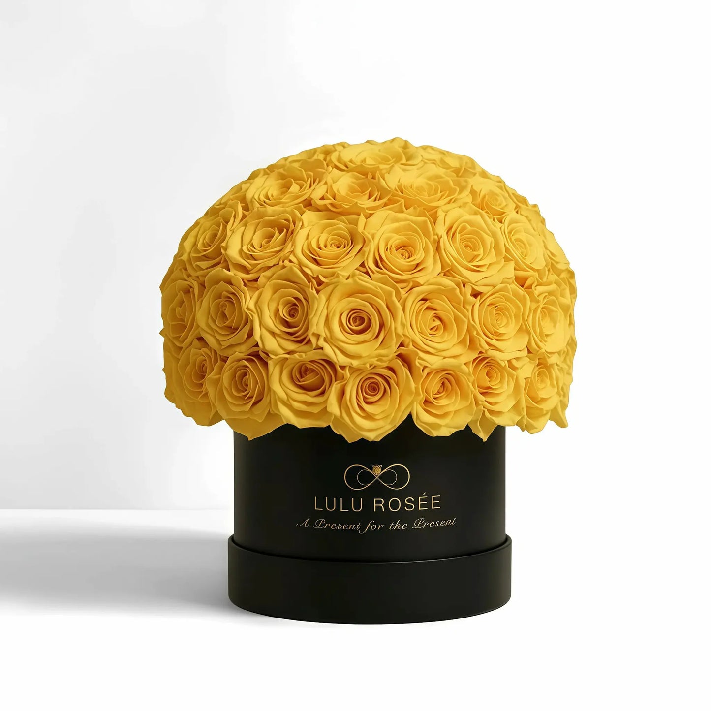 LULU ROSÉE superdome box yellow roses black box on white background
